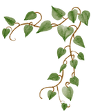 段落テキスト (15).png