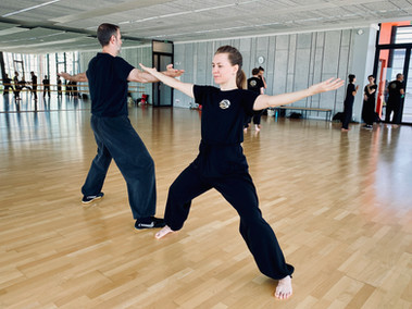 travail postural Bagua