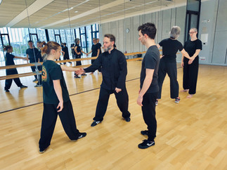 Stage serpent kung-fu saolim à Rennes