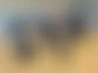 Stage serpent kung-fu saolim à Rennes