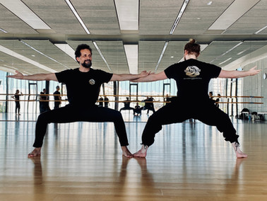 travail postural Bagua