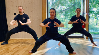 Cours de kung fu à La Chapelle des Fougeretz