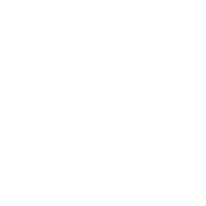 Xing Yi Quan (hsing i chuan), taoisme, 5 éléments, wu xing quan