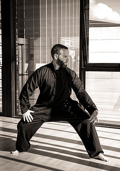 Professeur arts martiaux Rennes, Xing Yi Bagua Zhang, Dao Xing She, Kung Fu Bretagne