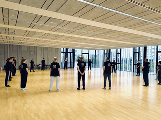 Stage serpent kung-fu saolim à Rennes