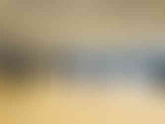 Stage serpent kung-fu saolim à Rennes