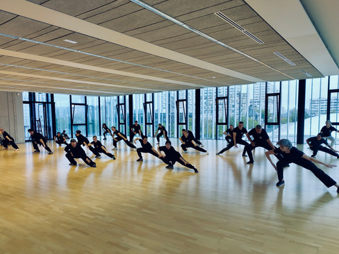 Stage serpent kung-fu saolim à Rennes