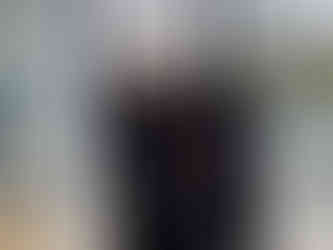 Stage serpent kung-fu saolim à Rennes