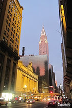 IMG_3450.jpg
