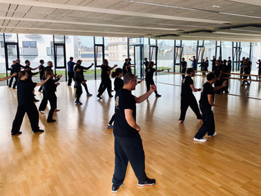 Stage Xing Yi Quan John Squier Rennes