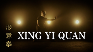 Xing Yi Quan Hsing I Chuan
