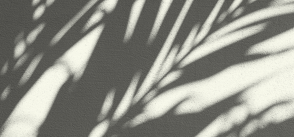 Texture 2 White.png