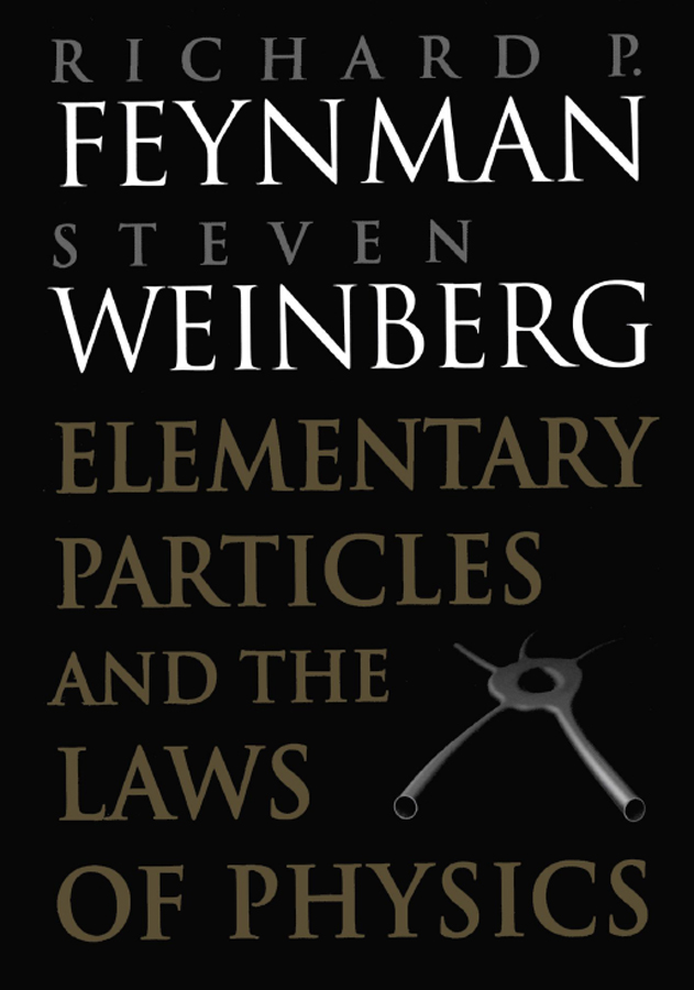 Elementary Particles and the Laws of Physics