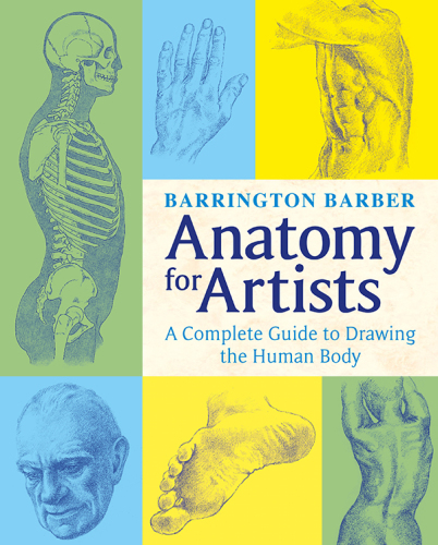 Anatomy for Artists - The Complete Guide to Drawing the Human Body