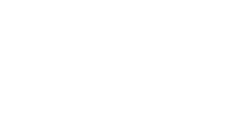 BrandStorm Logo White