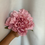 Miniatura: Peonía Rosa bebé