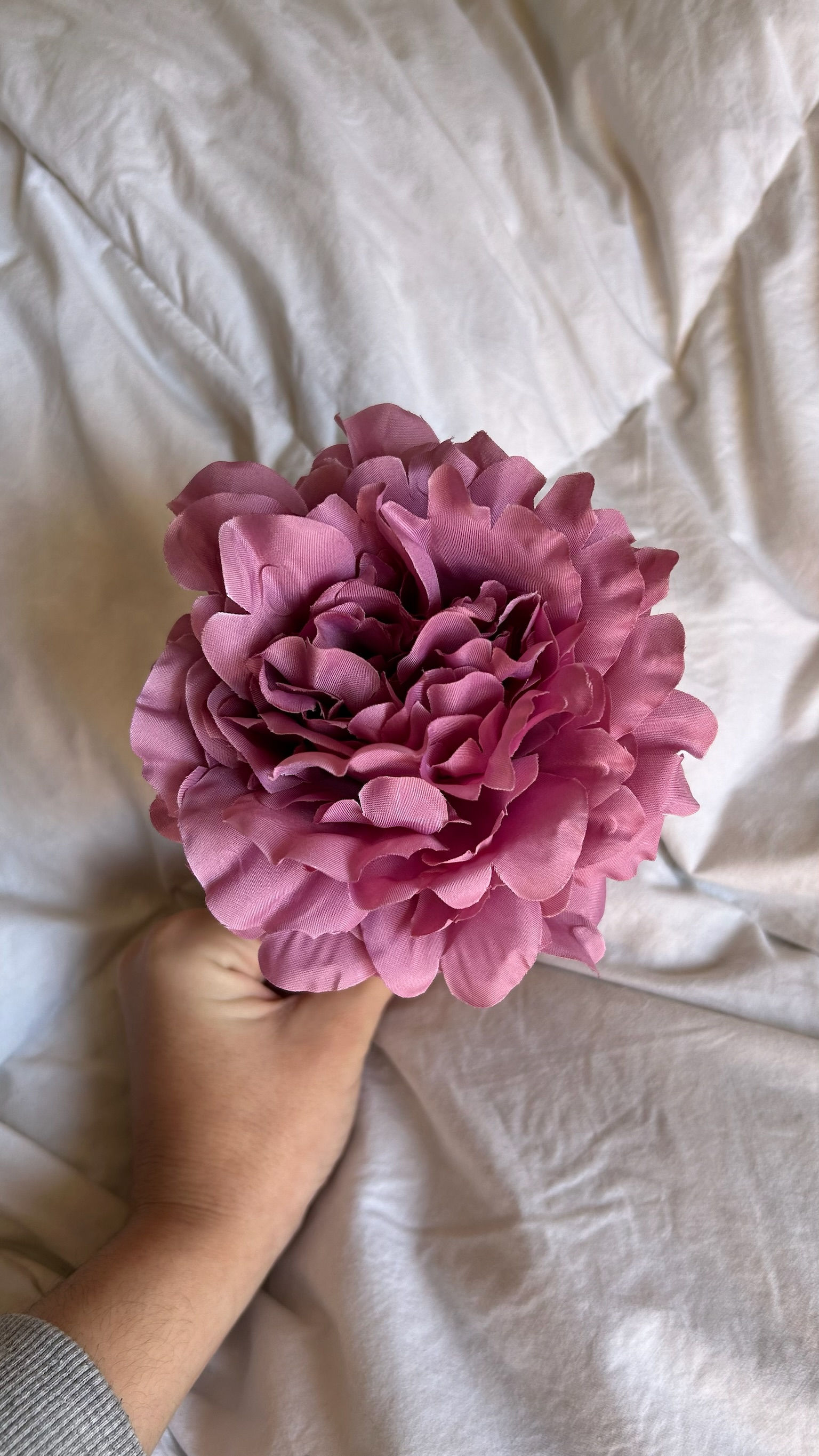 Peonía flamenca rosa