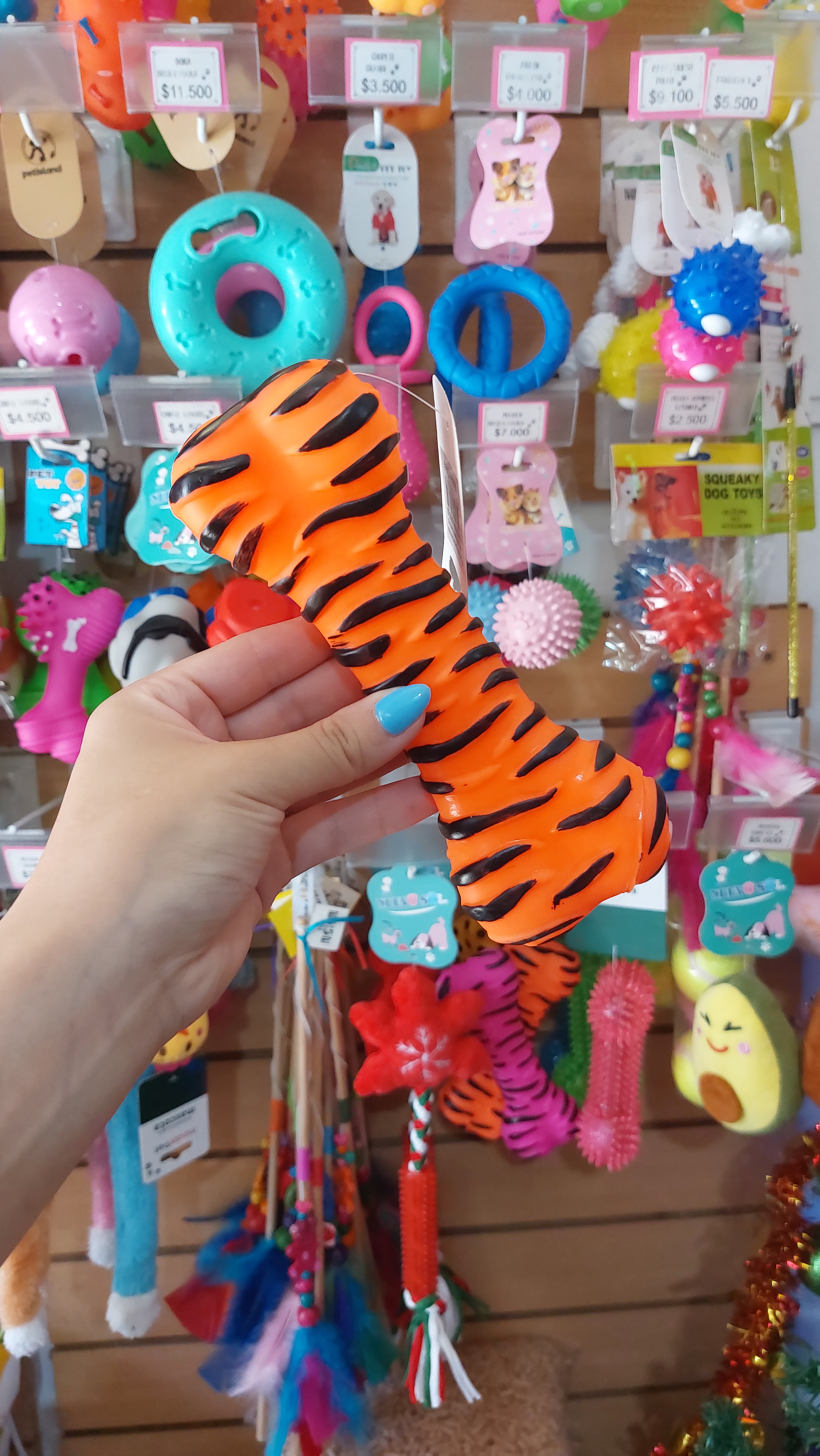 Hueso Rayado con Chifle