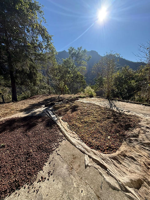 WhatsApp Image 2026-02-09 at 9.20.53 AM.jpeg