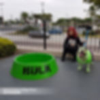 Match Canino