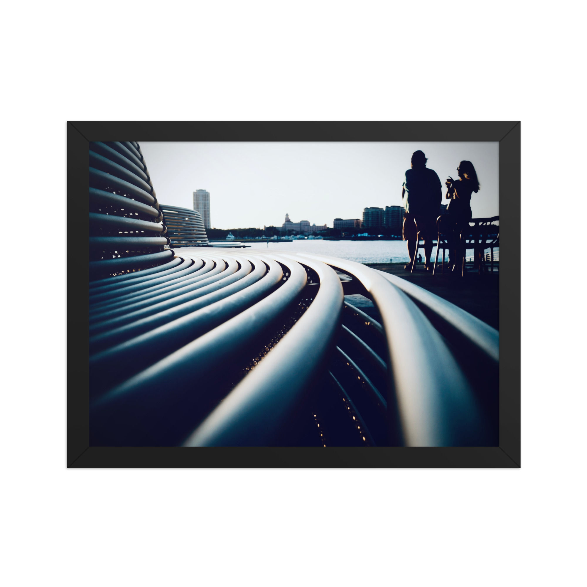 Framed matte paper poster
