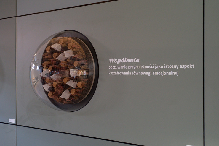 Exhibition -Sensuarium -At the -Interface- of- the-Senses -with- Forner- Furniture Panels -in- the -Background 21