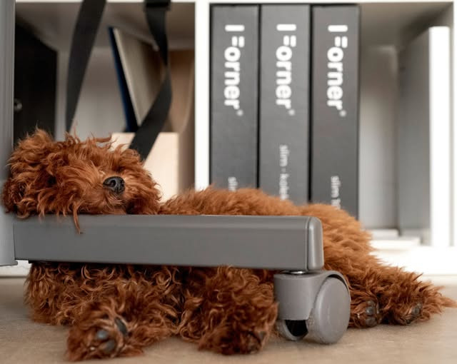 495347999_1285608240232248_8109054902821383253_n