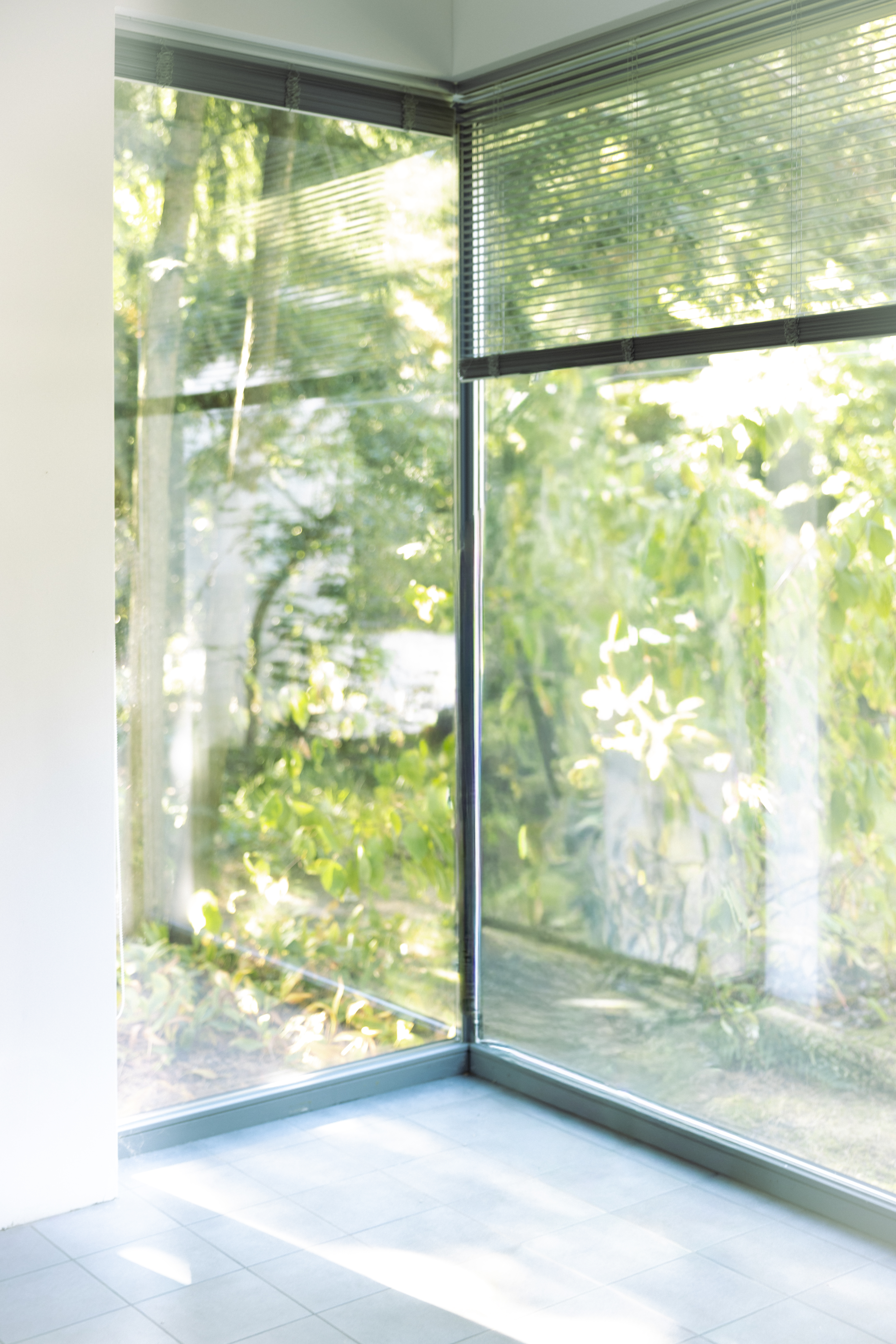 Architektonisches Detail einer Glaswand mit Blick in die Natur.