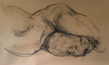 anna-grebner-figure-drawing-2022--7.jpg