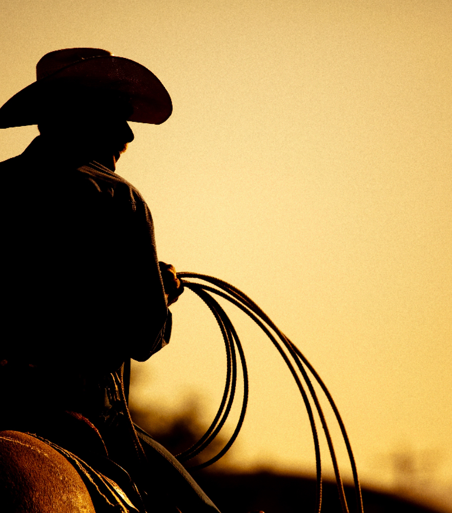 Low Ranger Pic LONE RANGER