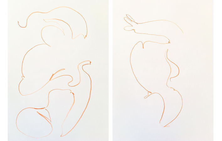 anna grebner danicng-lines-2021.jpg