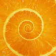 378532432_2140690382805436_5596996558974086531_n.gif