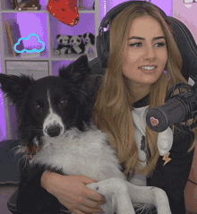 animal healing