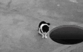 giphy (1).gif