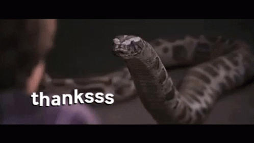 snake-thanksss.gif