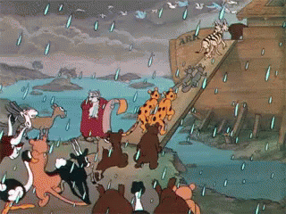 noah