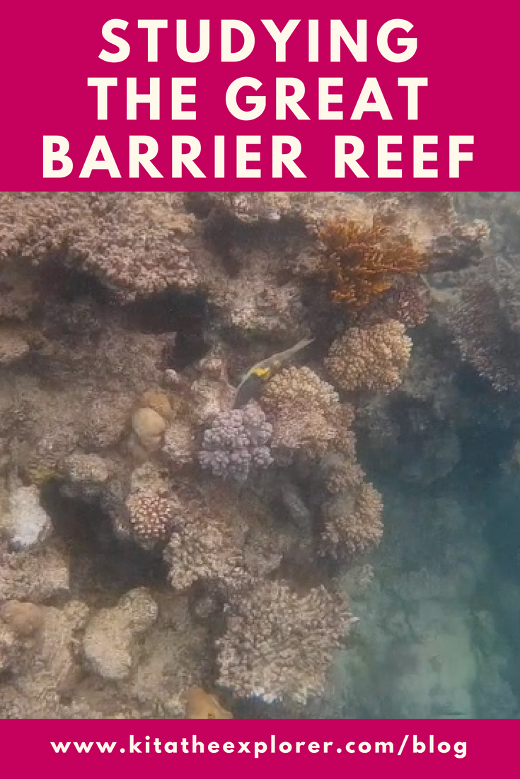 Studying the Great Barrier Reef Cover