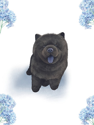petillustration.jpg