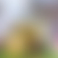 佩佩豬與好友一起玩露營蛋糕