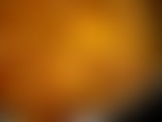 Los mejores garbanzos del mundo