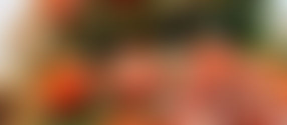 Receta: Bruschetta Chicken