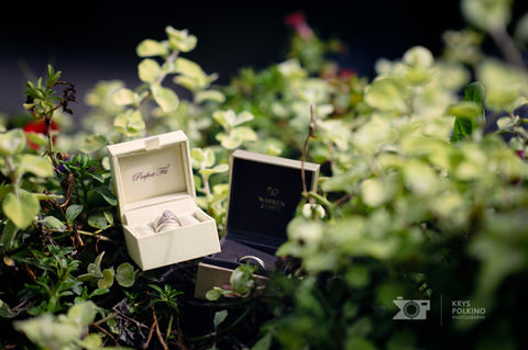 Wedding rings, beautiful light.