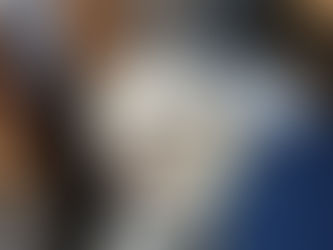 "How to Teach Proper Table Manners for Service Dogs"