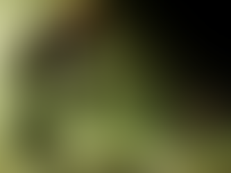 What is toxic behavior, exactly?