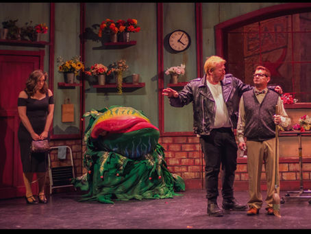Little Shop