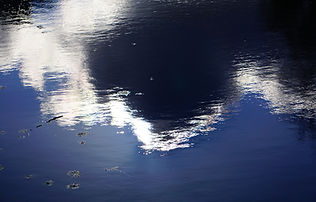 Portfolio_Reflection