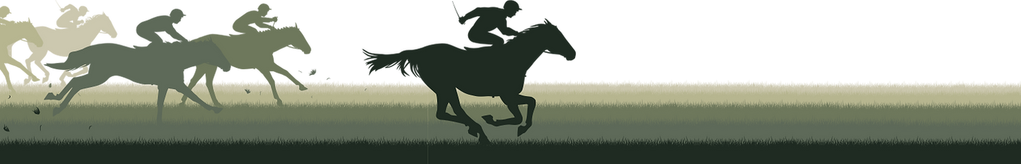 horses_no bkgrnd.png