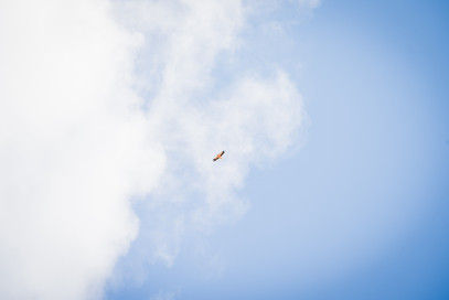 Fuerteventura_23_06_III-clarks18.jpg