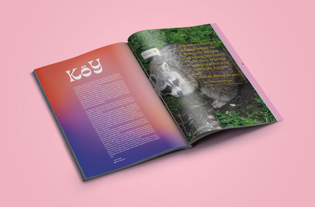 magazine-mockup-vol2-12 Kopie.jpg