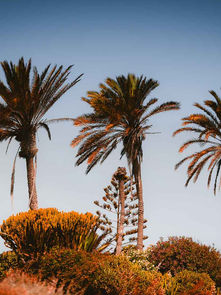 Fuerteventura_23_06_II